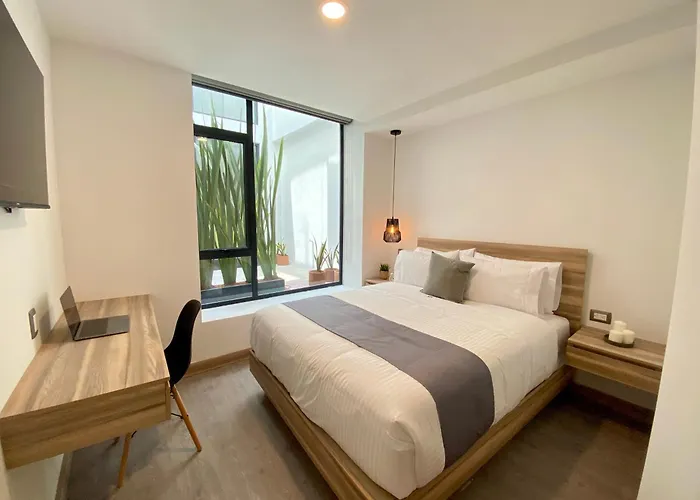 Second Darwin Guest house Mexico City