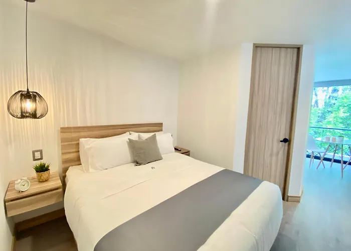 Guest house Second Darwin Mexico City