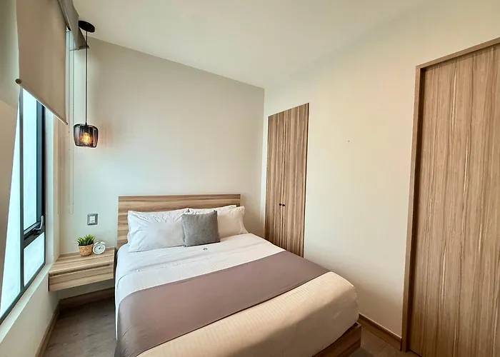 Second Darwin Guest house Mexico City
