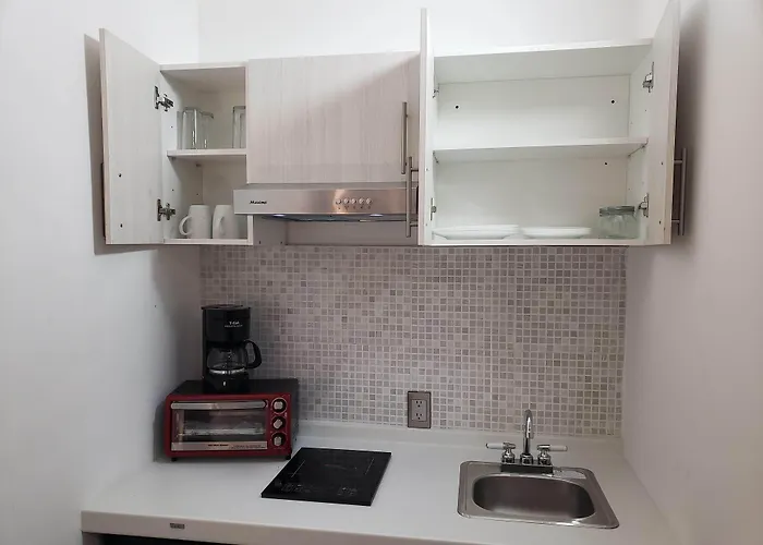 Second Darwin Guest house Mexico City
